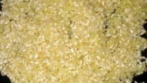 паэлья с мидиями