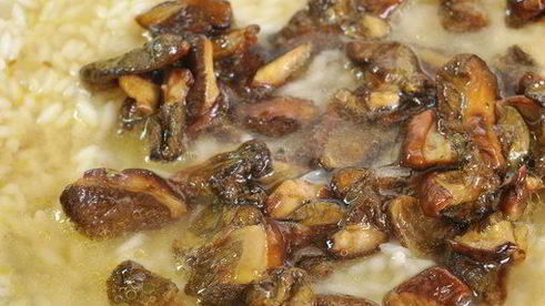 ризотто с лесными грибами