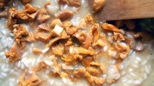 ризотто с лисичками