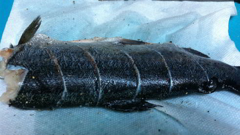 форель, запеченная в фольге