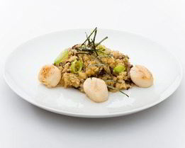 Гребешки в сливочном соусе с грибами и рисом