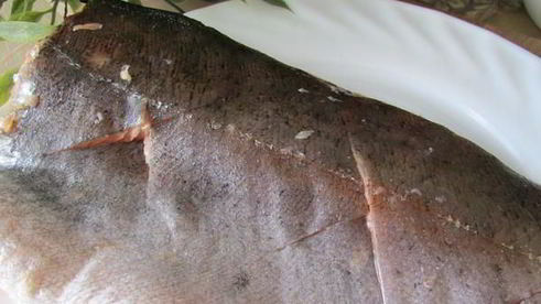 лосось рыбная бандероль