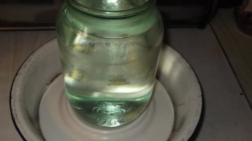 малосольная горбуша