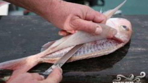 морская рыба с томатами и зеленью