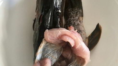 щука фаршированная первый улов