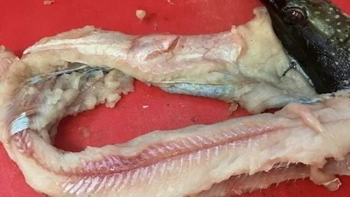 щука фаршированная первый улов