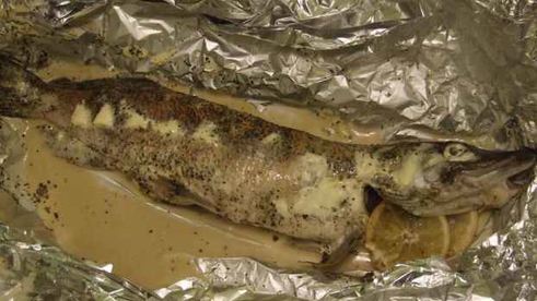 щука запеченная в фольге