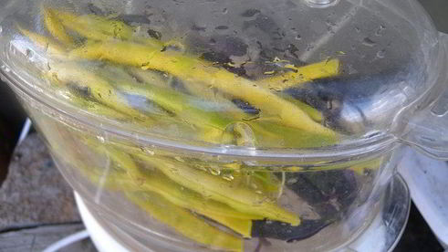 сочные рыбные биточки со спаржевой фасолью и соусом из сладкого перца