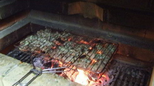 ноябрьский шашлычок