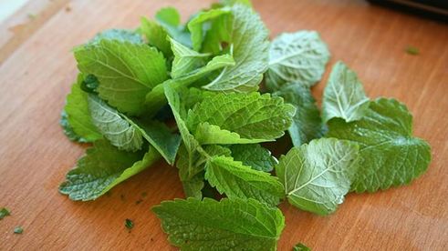 шашлык из говядины с салом