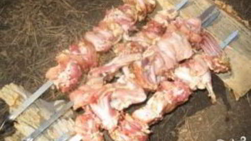 шашлык из кролика