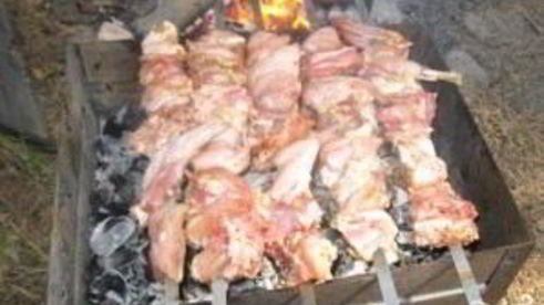 шашлык из кролика