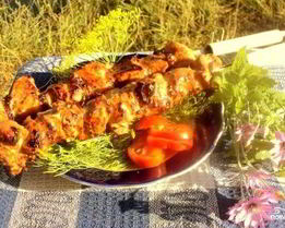 Шашлык из куриного филе