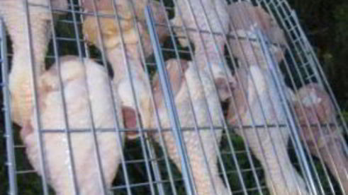 шашлык из куриной голени