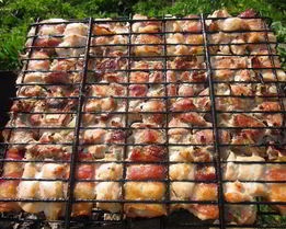 Шашлык из свинины и куриных грудок