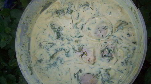 шашлык куриный привет, индия