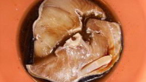 стейк голубой акулы