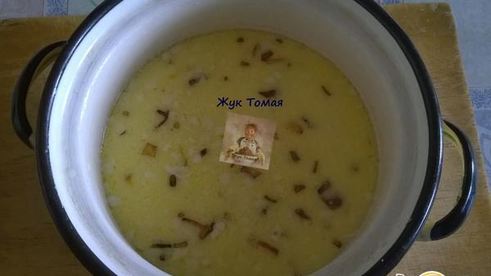 куриные тефтели в молочно-сырном соусе