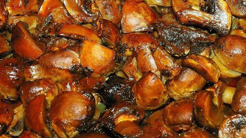 жаркое из говядины с грибами и овощами