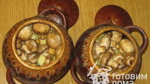 жаркое с грибами в горшочках