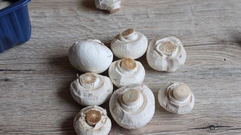 гречка с грибами и луком в мультиварке