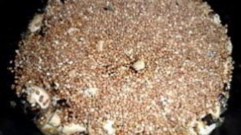 гречка с курицей и грибами