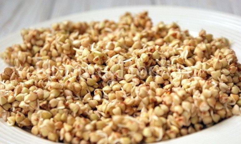 Рецепт пророщенной гречки