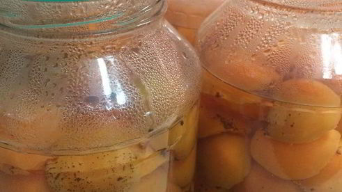 абрикосы в сахарном сиропе на зиму