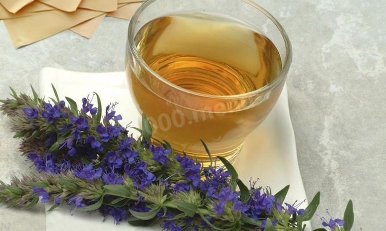 Рецепт чая с иссопом