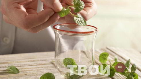 чай с мятой