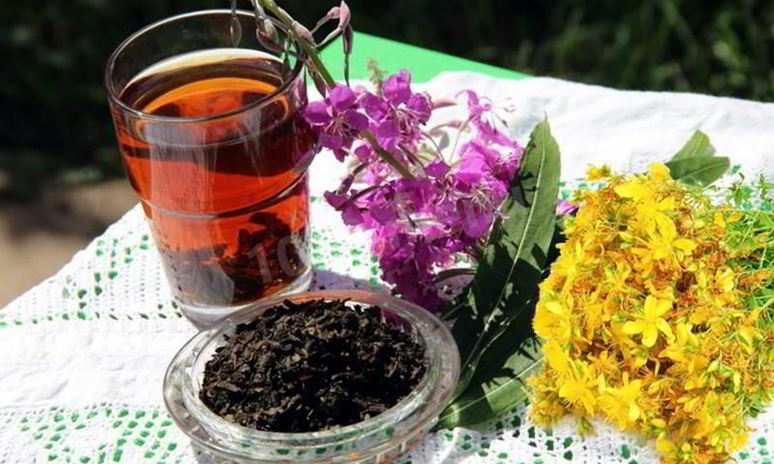 Рецепт ивана чая зверобоя