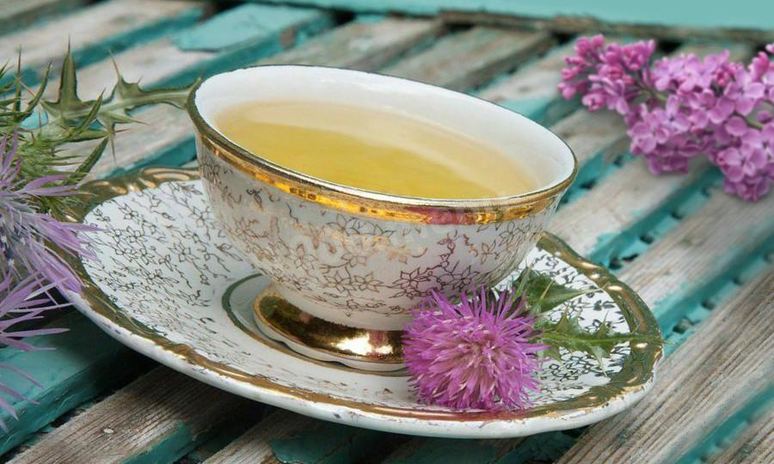 Рецепт расторопши чай