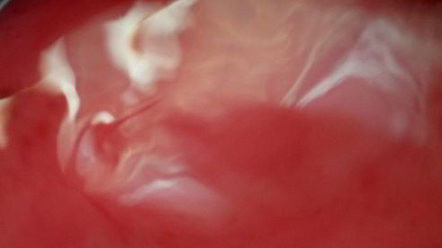 кисель осенний виноград