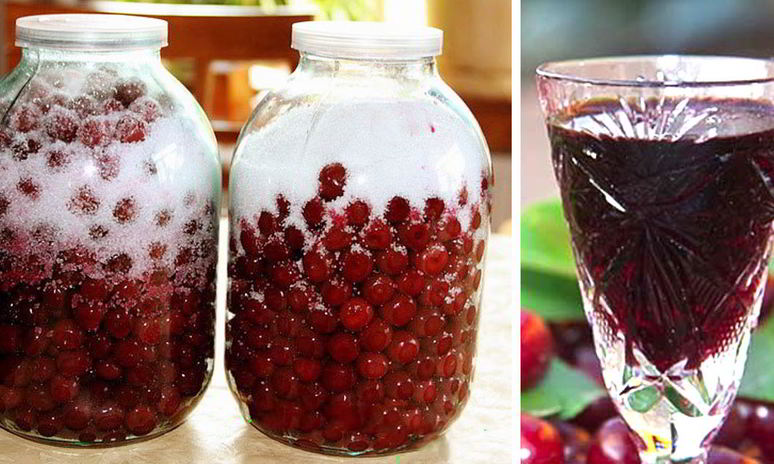 Рецепт вишневого ликера