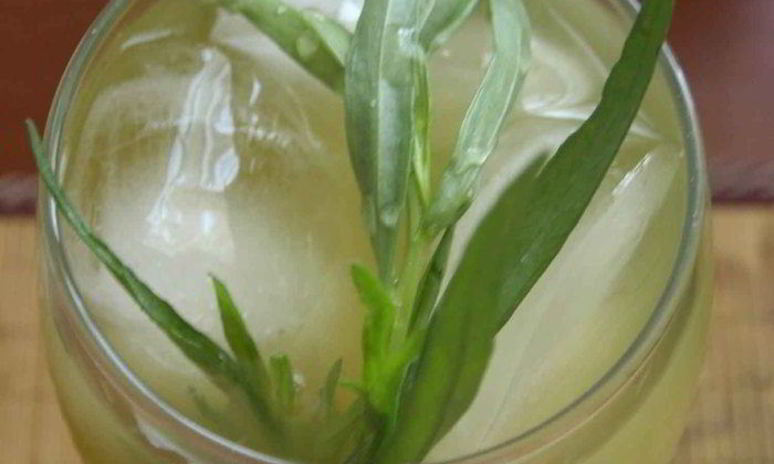 Рецепт лимонада тархун