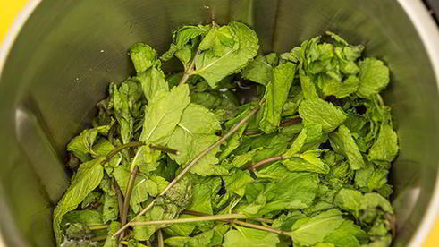 напиток мятный, концентрированный