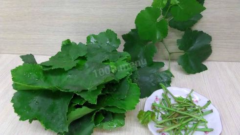 прохладительный напиток из виноградных листьев