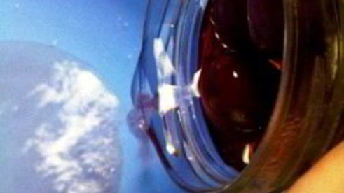 сливы в сиропе на зиму