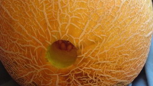 смузи магический цветок