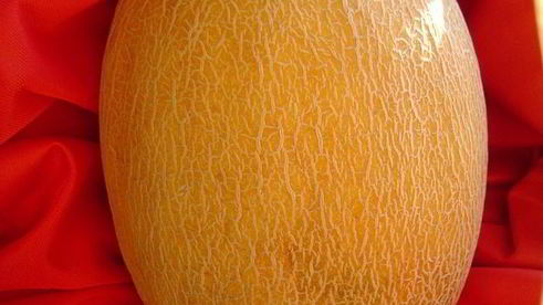 смузи магический цветок