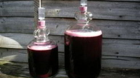 вино из ежевики