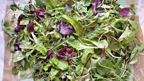 рыбный салат со свекольным желе