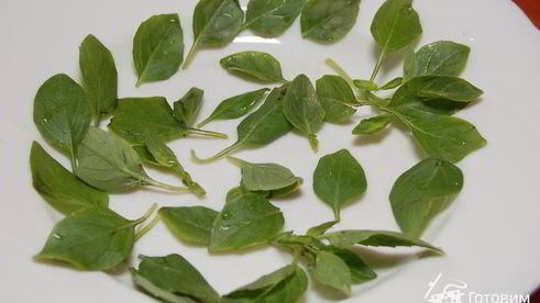 салат из помидоров