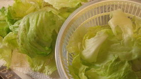 французский зеленый салат мимоза