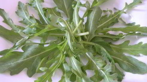 цезарь с семгой на листьях руколы