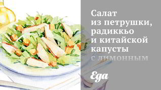 Салат из петрушки, радиккьо и китайской капусты с лимонным винегретом