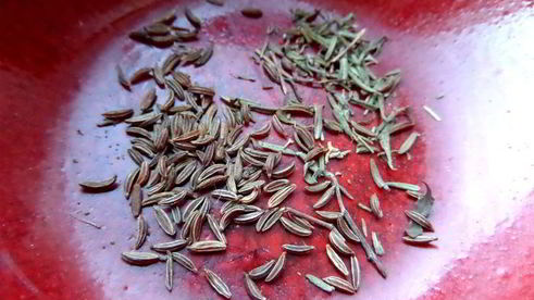 сливочный соус с черносливом