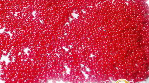 соус из красной смородины восточные мотивы