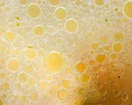 Мясной бульон с овощами