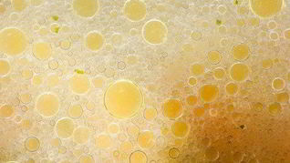 Мясной бульон с овощами